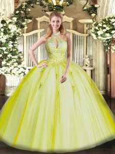 Sleeveless Lace Up Floor Length Appliques Sweet 16 Dress